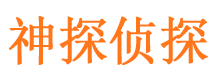 洛浦侦探公司